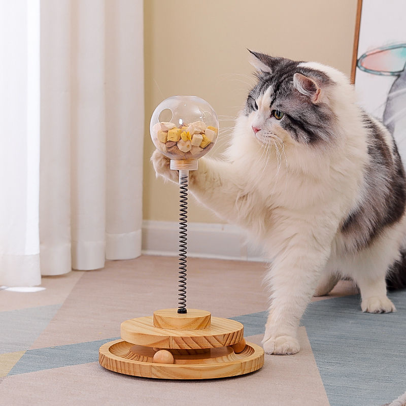 Lernspielzeug für Katzen mit auslaufendem Ball